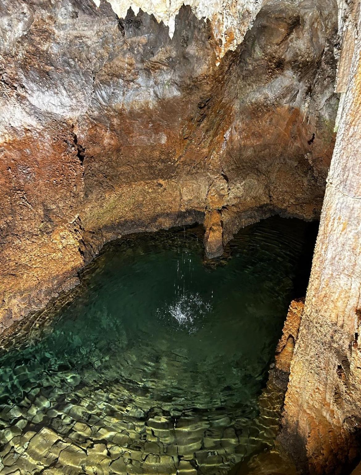 Jacuzzi A L'abri Des Vents * Carcassonne