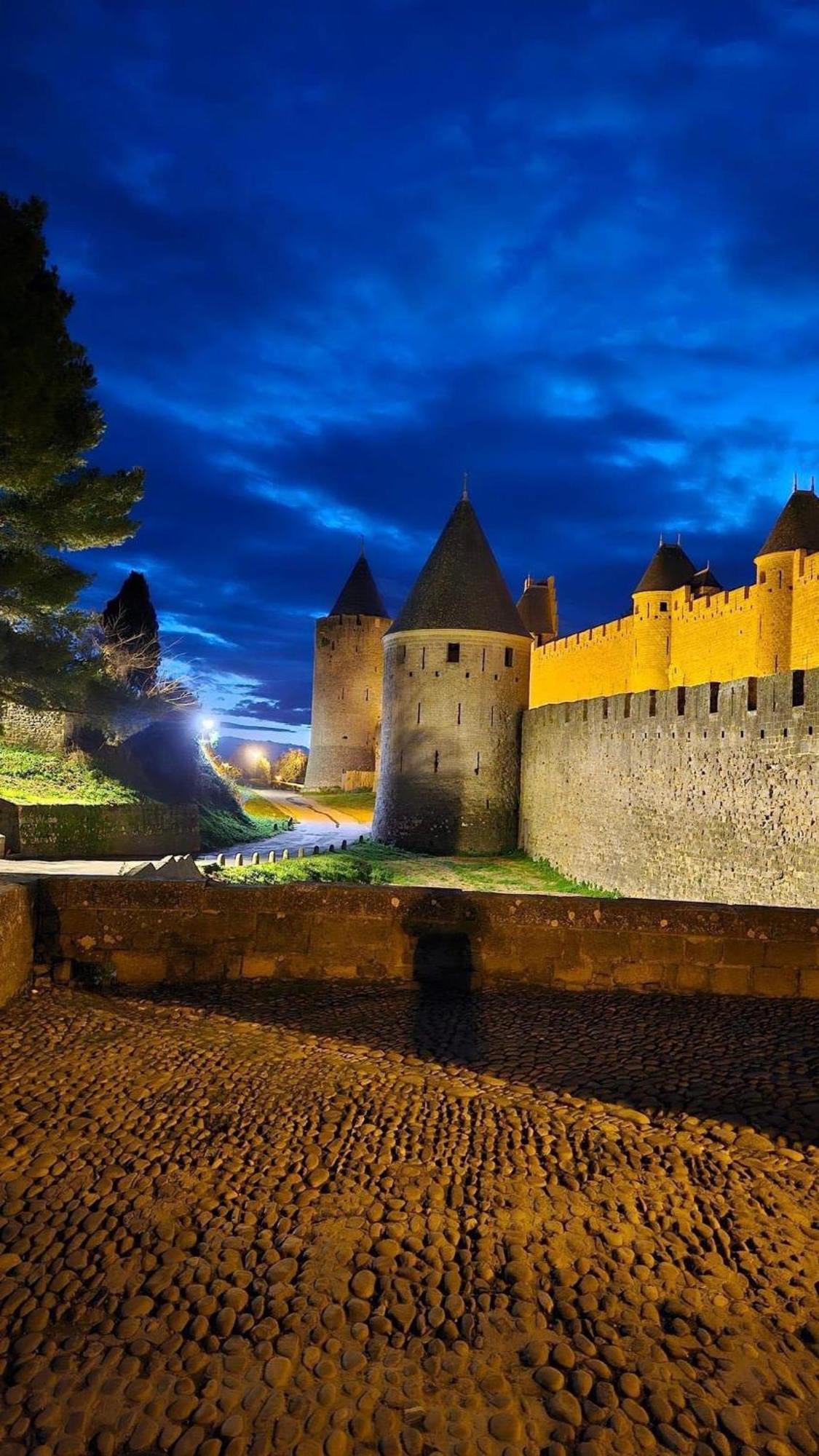 Jacuzzi A L'abri Des Vents * Carcassonne